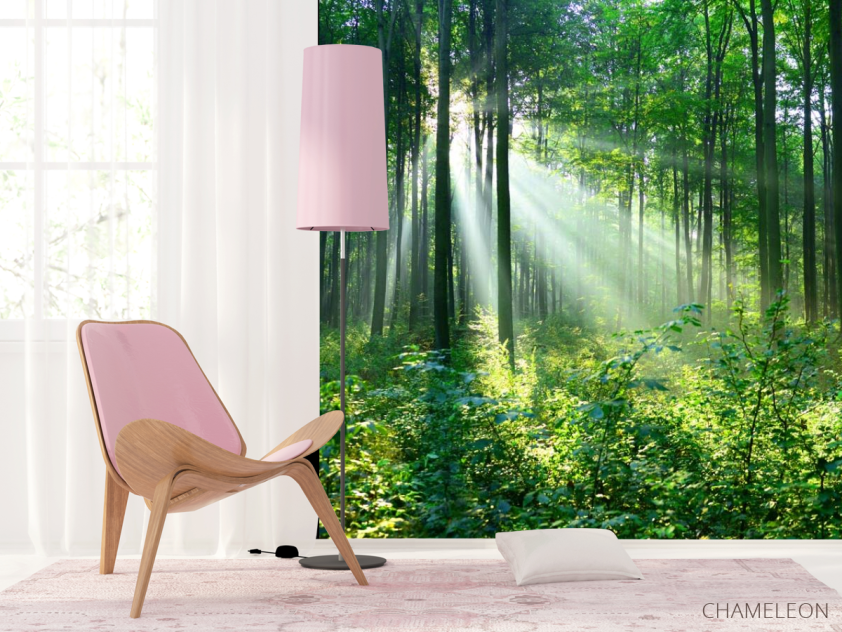 Фотошпалери зелені дерева в лісі - 4