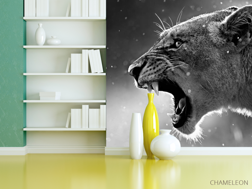 Фотошпалери дика кішка - 3