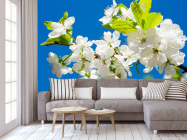 Фотообои Цветы на фоне неба - 3