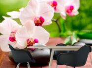 Фотошпалери Орхідеї біло-малинові - 1