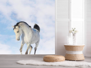 Фотошпалери Білий кінь - 2