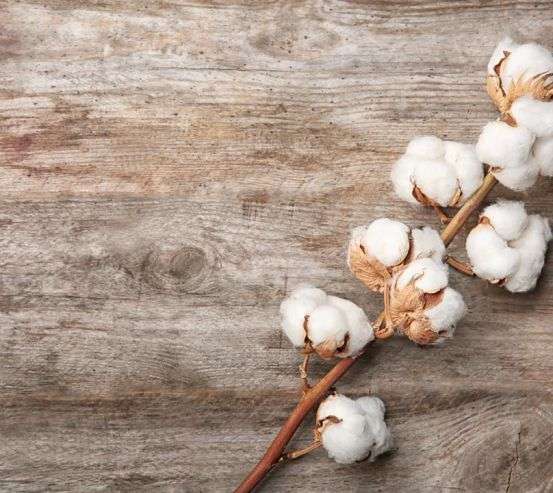 Фотообои цветок шёлка Фотообои цветок шёлка 21551