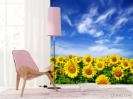 Фотошпалери Соняшники і небо - 4