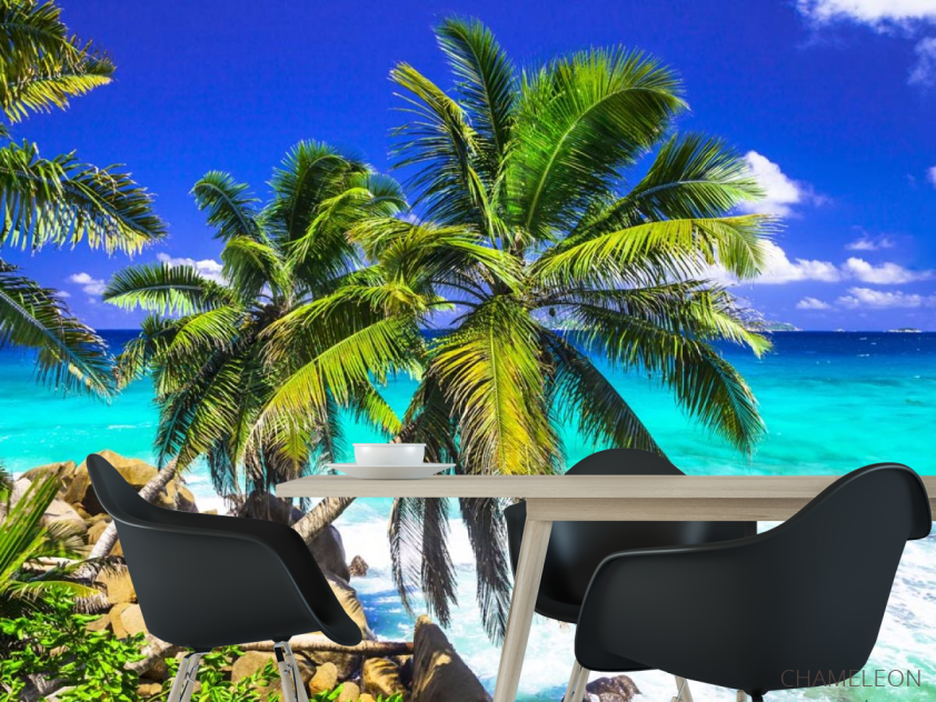 Фотошпалери дві пальми над блакитним морем - 1