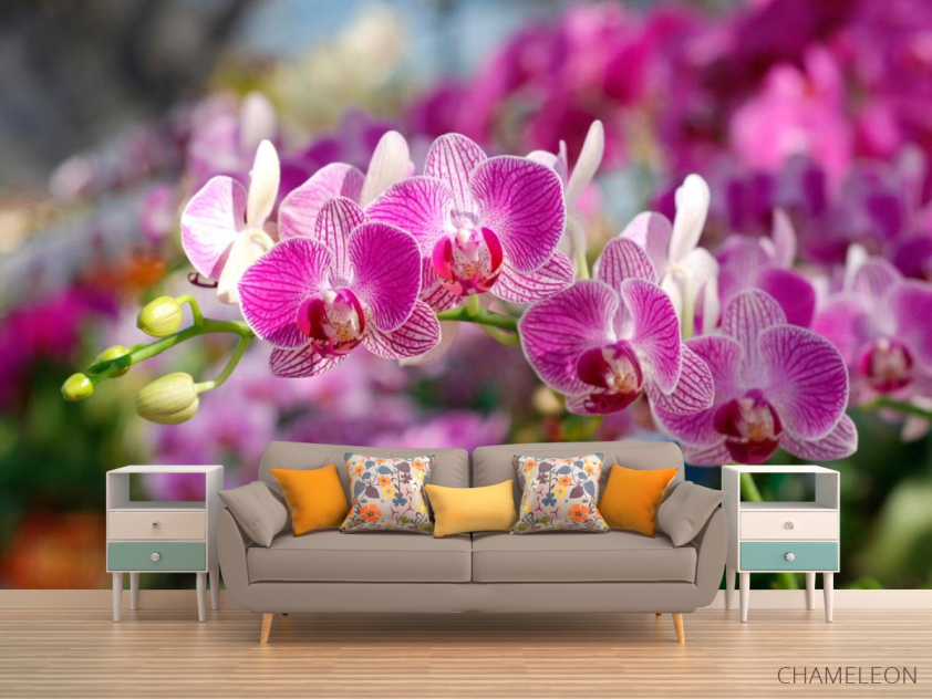 Фотообои Розовые орхидеи цветут - 1
