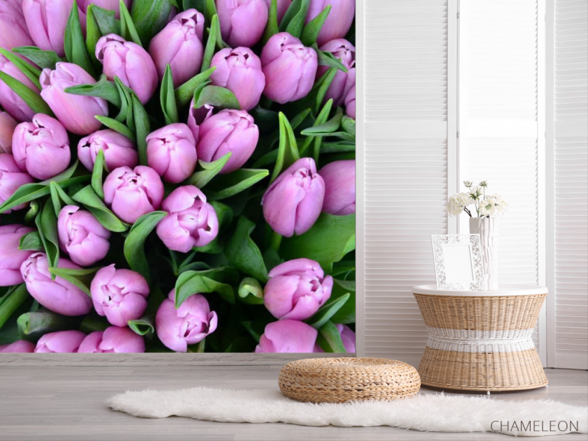 Фотошпалери Букет фіолетових тюльпанів - 2
