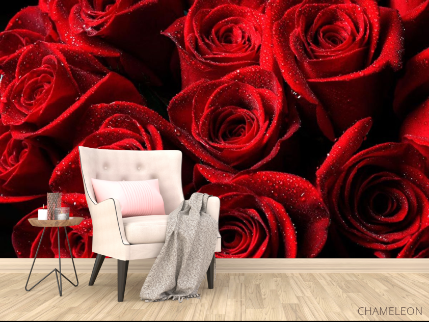 Фотообои Букет роз алого цвета - 4