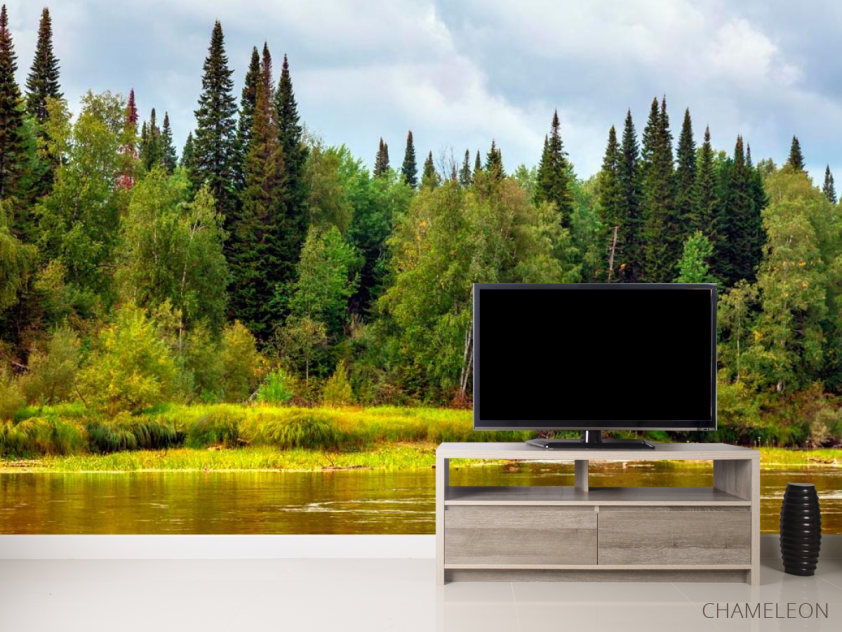 Фотообои Течение, лес - 2