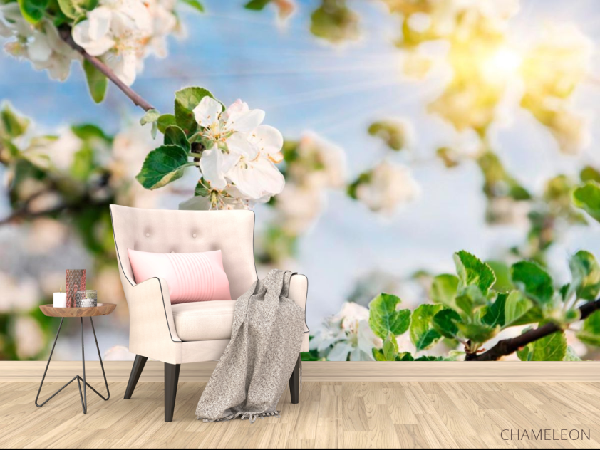 Фотообои Цветы под солнцем - 4