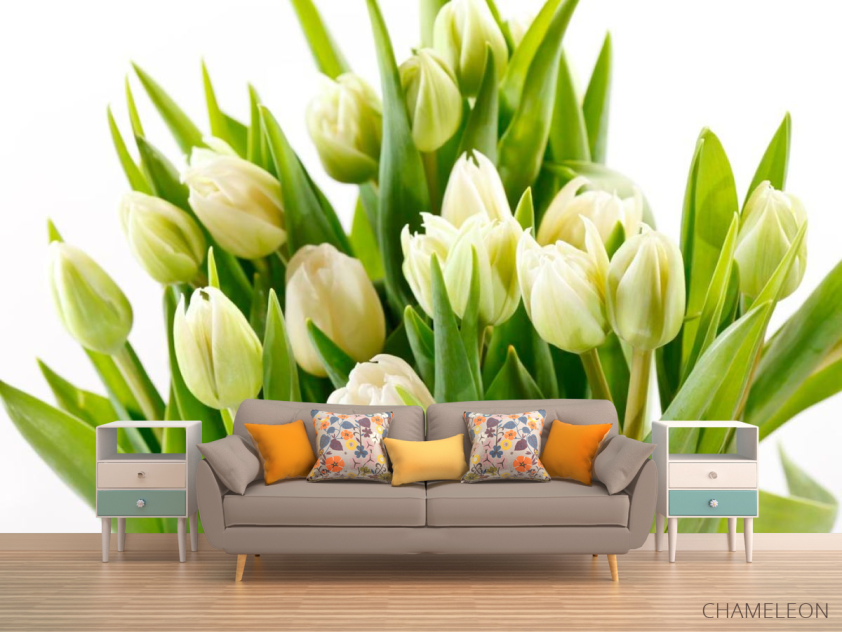 Фотообои Тюльпаны - 1