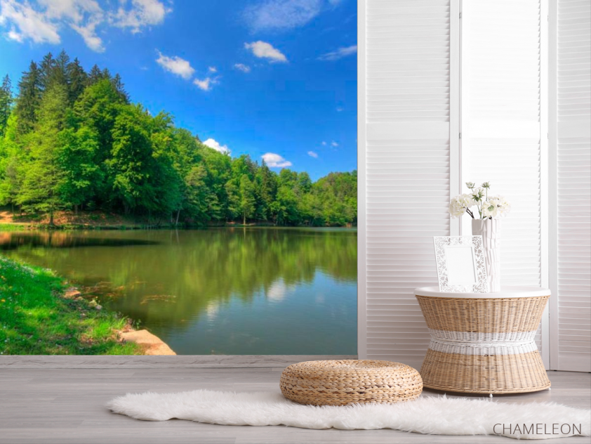 Фотошпалери Тихий ліс - 2