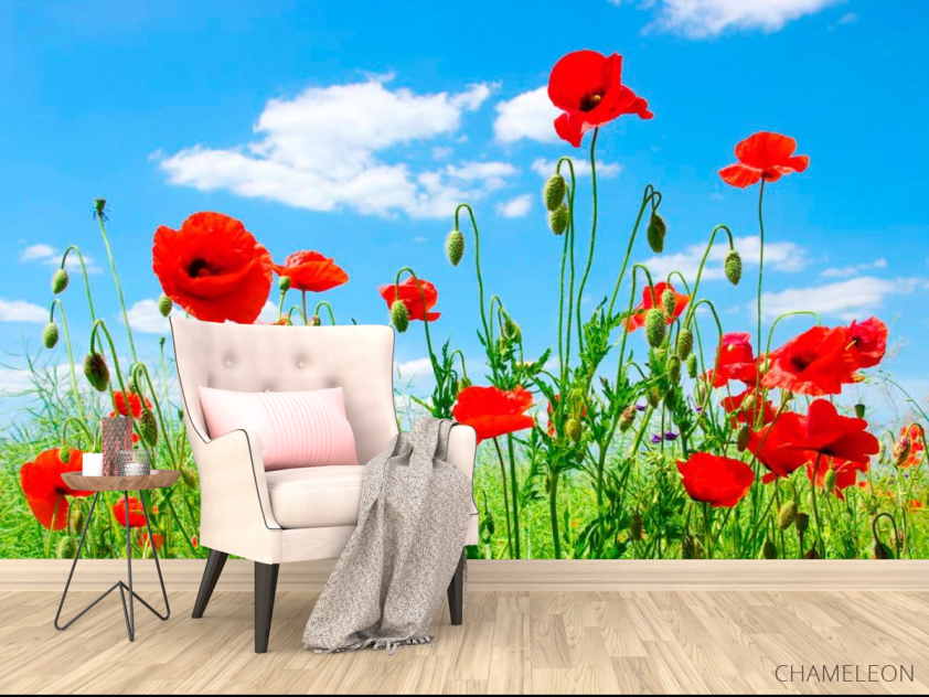 Фотообои Маки в степи - 4