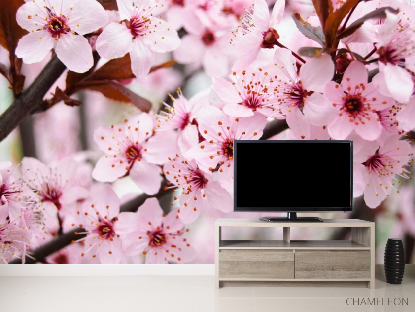 Фотообои Цветущее весной деревце - 2