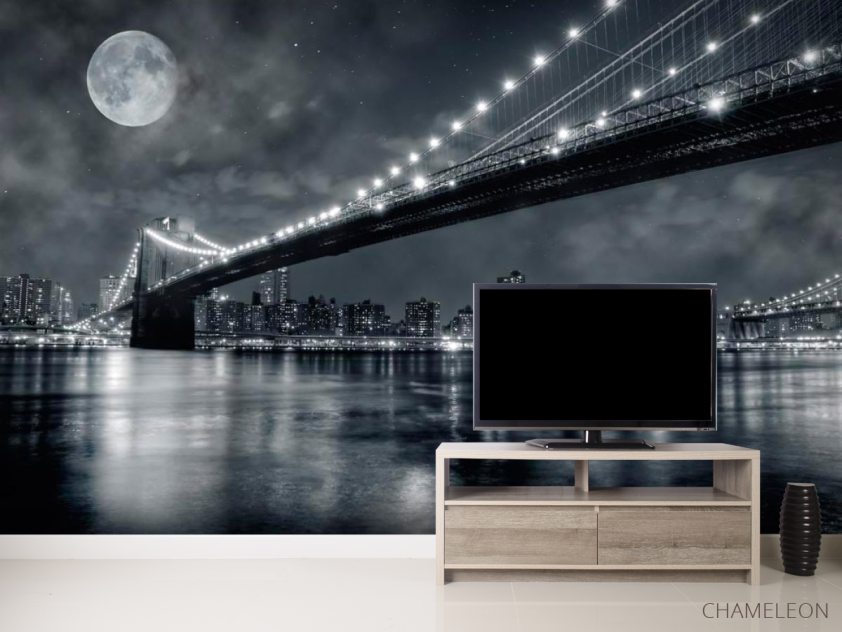 Фотообои Мост и луна, New York - 2