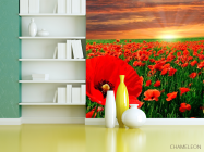 Фотошпалери Схід на маковому полі - 3