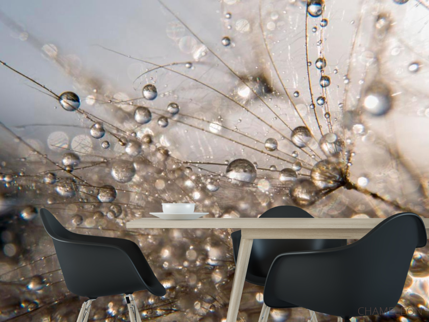 Фотошпалери Роса - 1