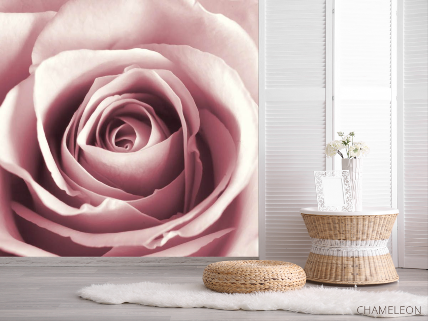 Фотошпалери бутон рожевої троянди - 2