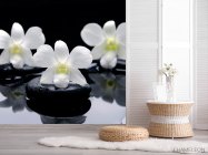 Фотошпалери Білі орхідеї на каменях - 2