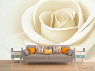 Фотообои белая роза - 1