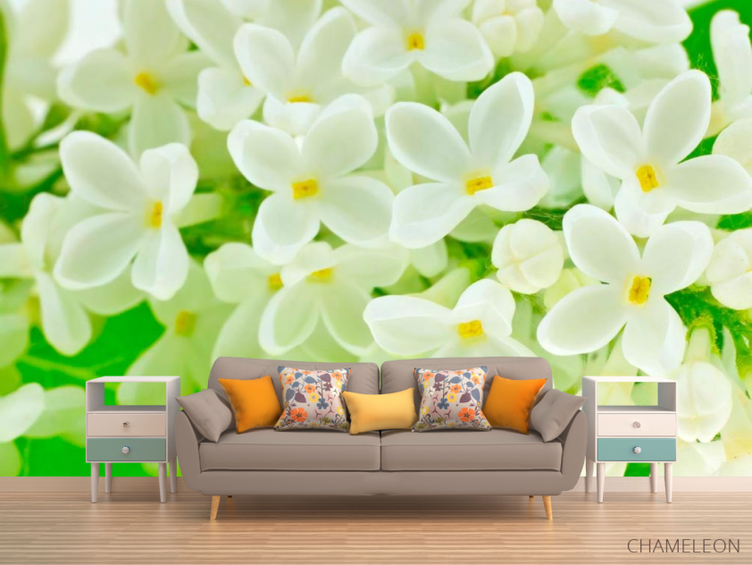 Фотообои Маленькие беленькие цветочки - 1