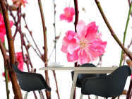 Фотошпалери Рожева квітка - 1