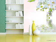 Фотошпалери Білосніжна омела - 3