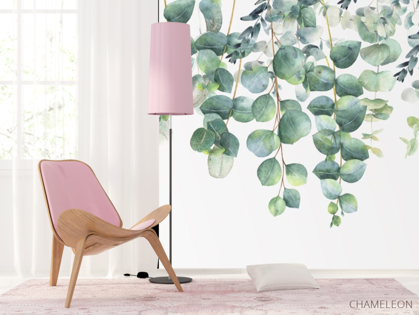 Фотошпалери Евкаліптові листя - 4