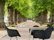 Фотошпалери Арка з листя - 1