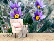Фотообои Фиалки - 4