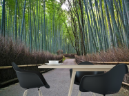 Фотошпалери В бамбукову казку - 1