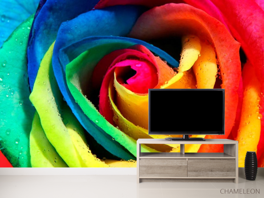 Фотообои Разноцветная роза - 2