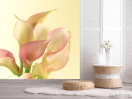 Фотошпалери Бежевий красивий квітка - 2