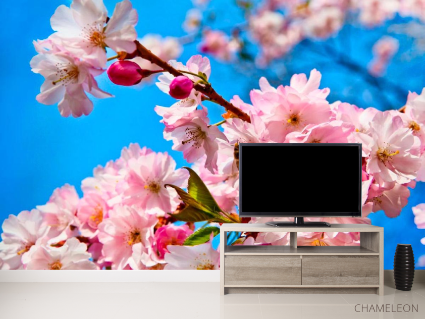 Фотообои Соцветия шиповника - 2