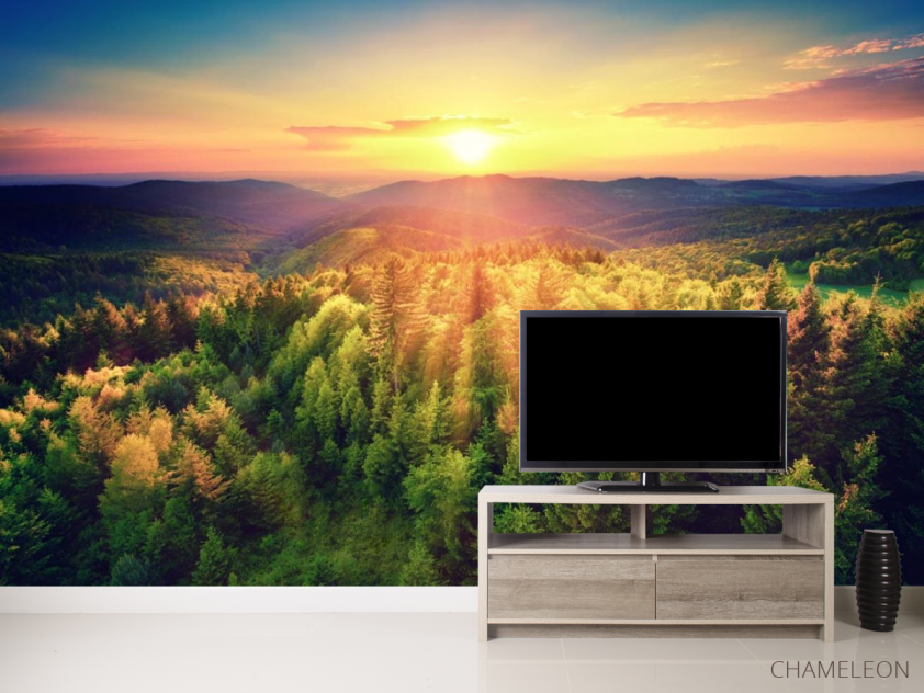 Фотообои закат над сосновым лесом - 2