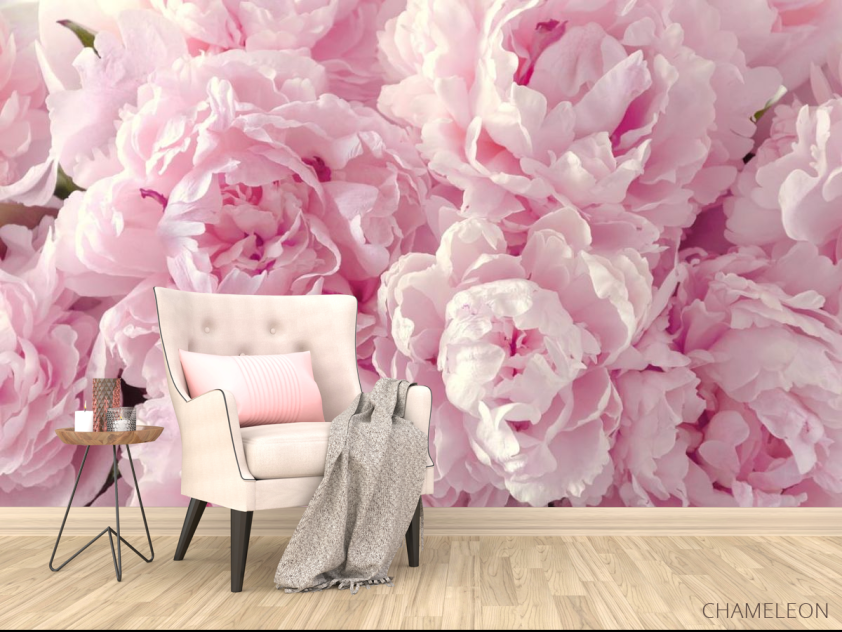 Фотообои пушистые розовые пионы - 4