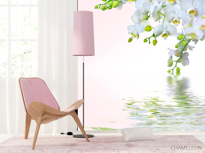 Фотошпалери Білосніжна омела - 4