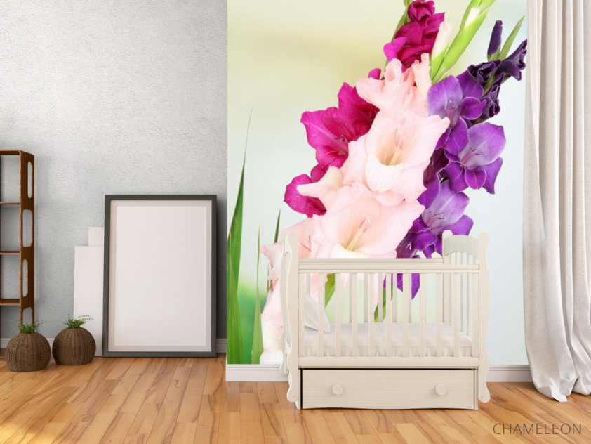 Фотообои гладиолусы - 2