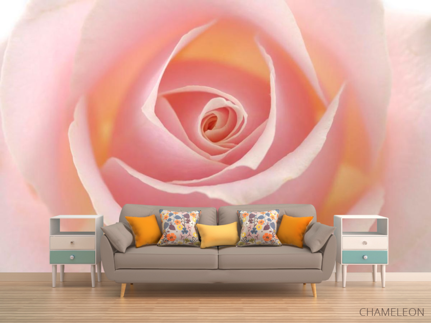 Фотообои Розочка кремовая - 1