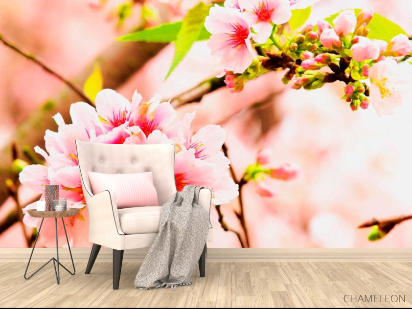 Фотообои Соцветия розовых цветов - 4
