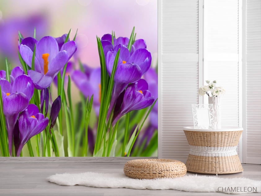 Фотошпалери фіолетові квіти в траві - 2