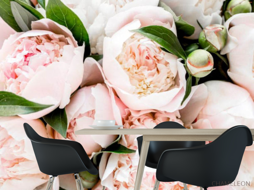 Фотошпалери Пудрові півонії - 1
