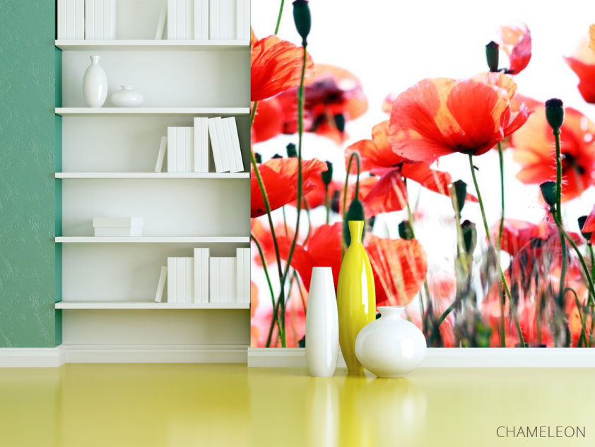 Фотошпалери Степові маки зацвіли - 3