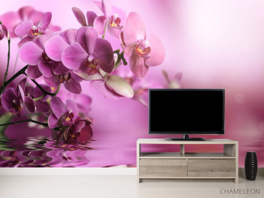 Фотообои орхидеи - 2