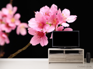 Фотообои Розовые персиковые цветы - 2