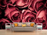 Фотообои Красные розы - 1