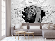 Фотообои  Тигр из каменной стены - 3