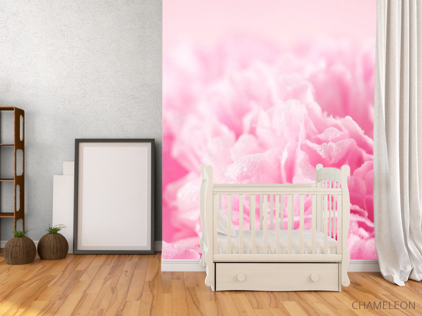 Фотообои Розовые лепестки - 2