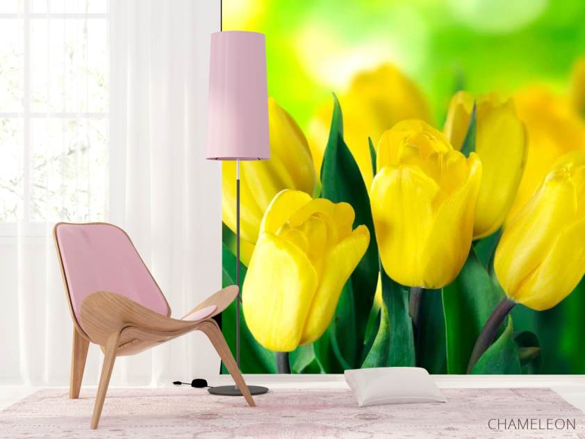 Фотошпалери Яскраво-жовті тюльпани - 4