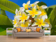 Фотообои Желто-белые цветочки - 1