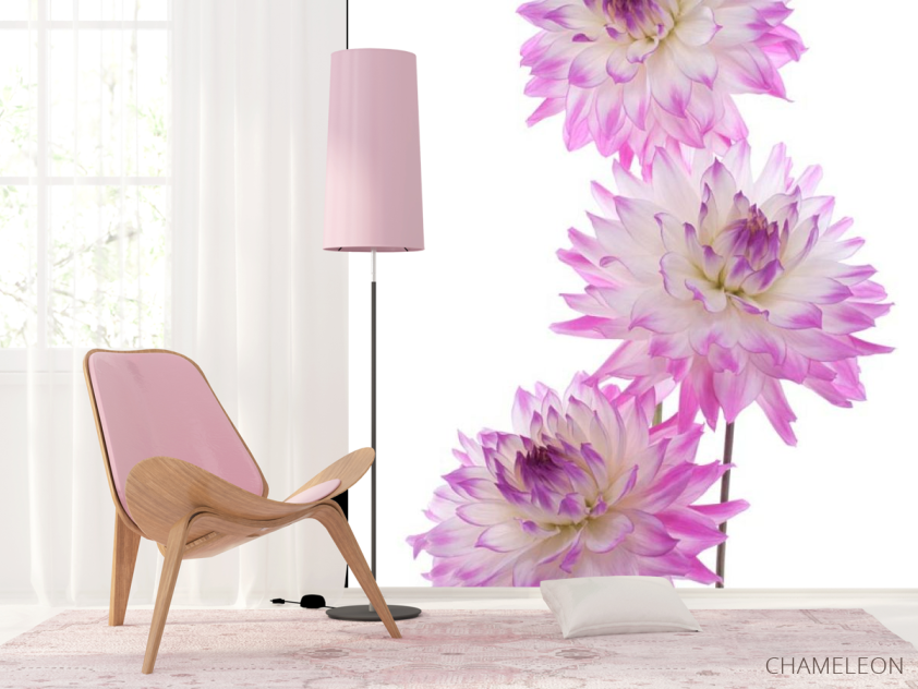 Фотошпалери Півонія бузковий - 4